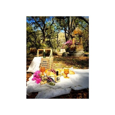 Victorian Picnic