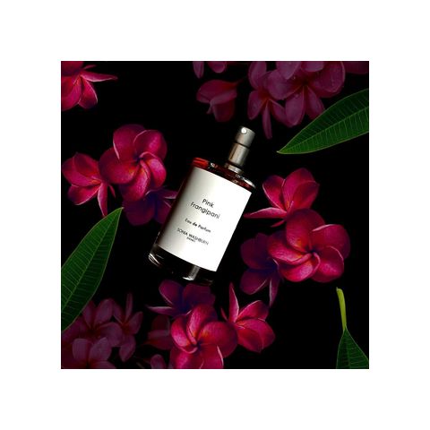 Pink Frangipani