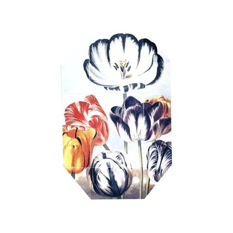 Print Collection Stella 02 (2011)