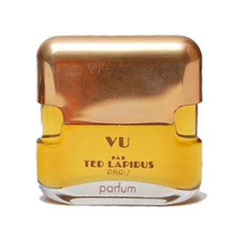Vu par Ted Lapidus