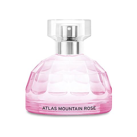 Atlas Mountain Rose