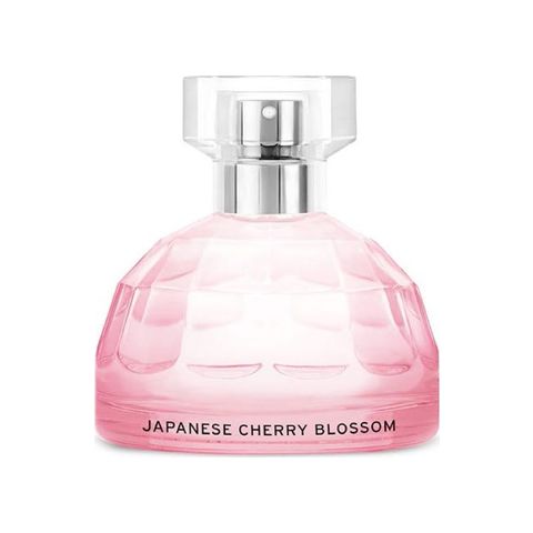 Japanese Cherry Blossom