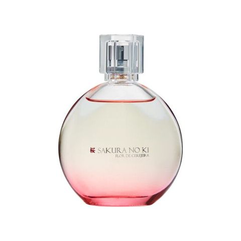 Sakura No Ki Flor de Cerejeira