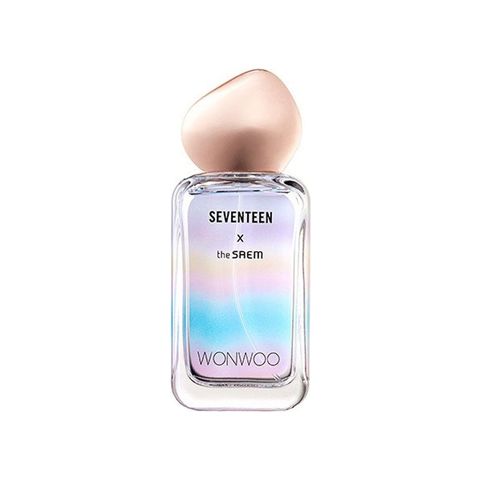 Seventeen X Wonwoo