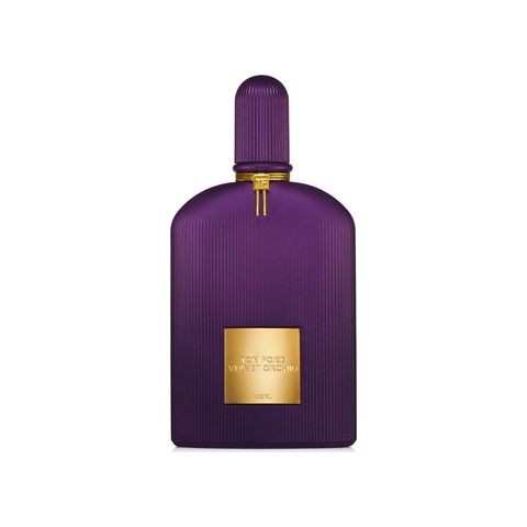 Velvet Orchid Lumière