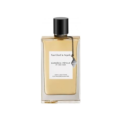 Gardenia Petale