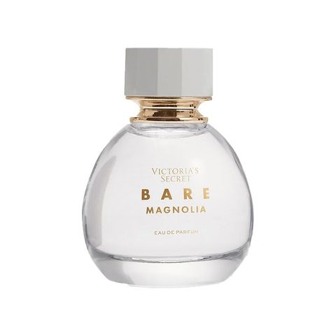 Bare Magnolia