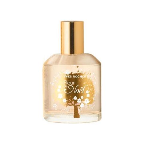 Fleur de Noel 2011