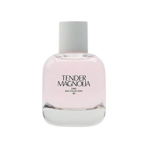 Tender Magnolia