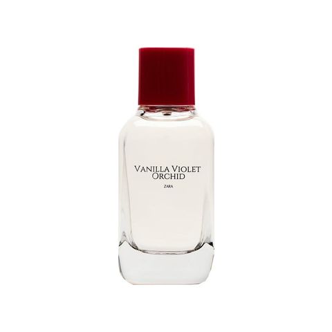 Vanilla Violet Orchid