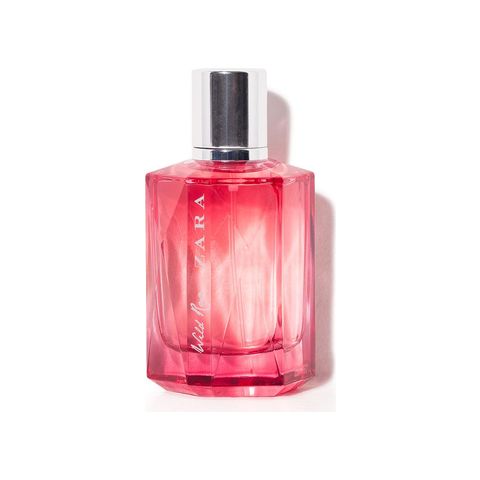 Wild Rose