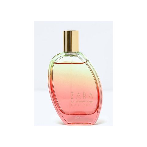 Zara Av. Das Americas 4666 Rio De Janeiro