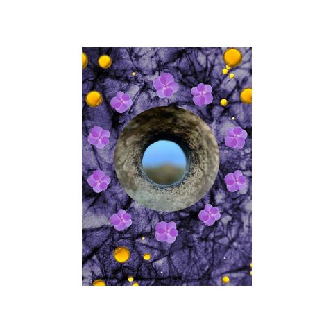 Crown Of Violets