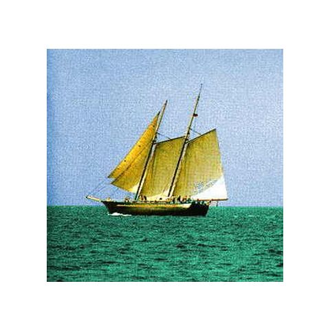 Sea Wood