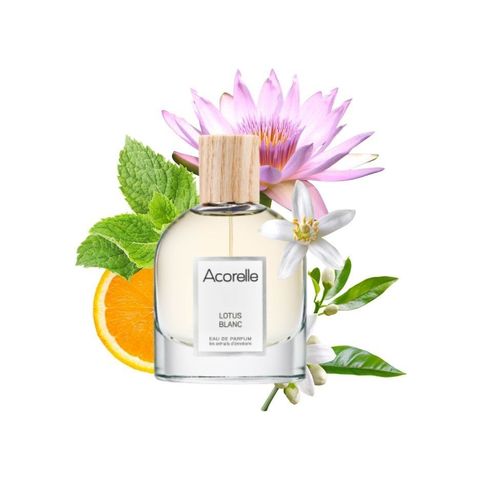 Lotus Blanc