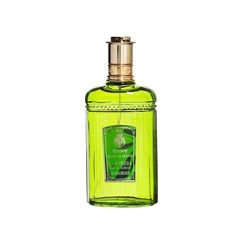 Tuberosa