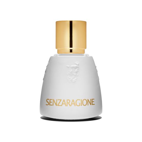 Senzaragione