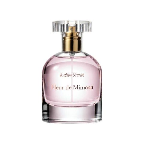 Fleur de Mimosa