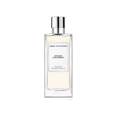 Splendid Orange Blossom