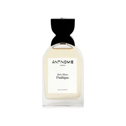 Bois Blanc Pudique