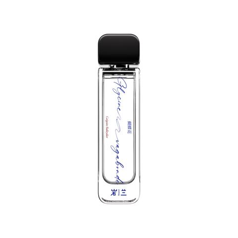 Glycine Vagabonde 蝴蝶花