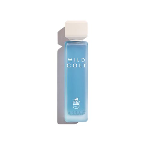 Wild Colt