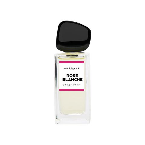Rose Blanche