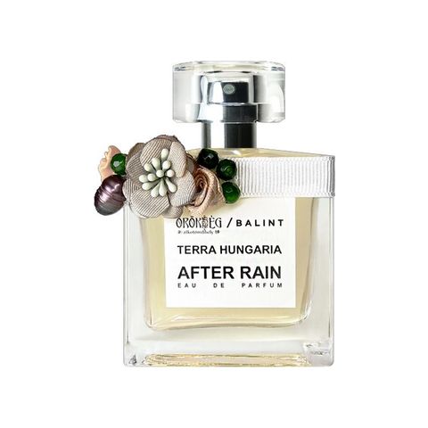 After Rain