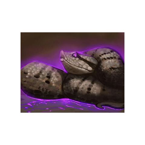 Asp Viper