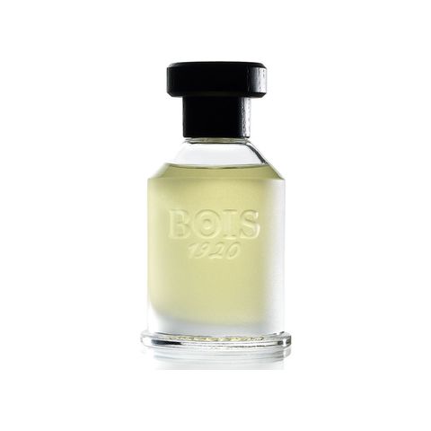 Rosa 23