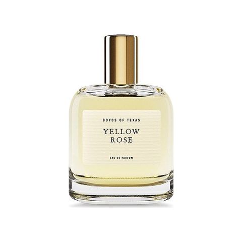 Yellow Rose