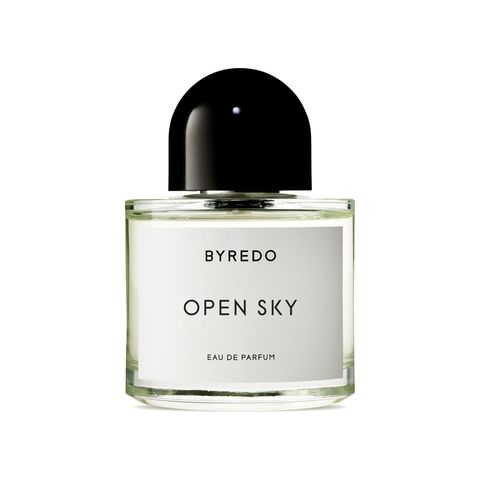 Open Sky