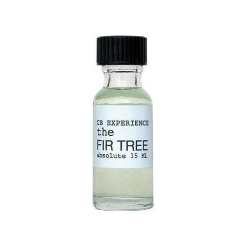 The Fir Tree