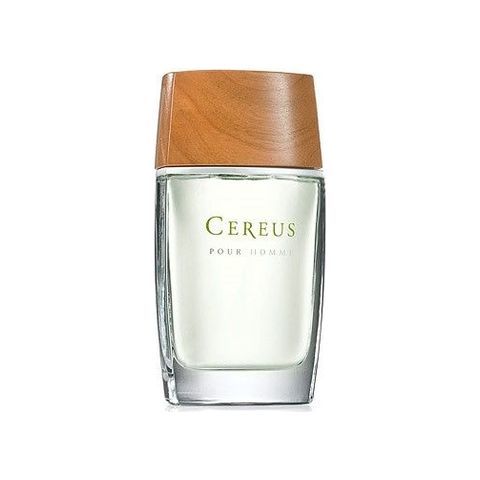 Cereus No. 6