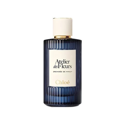Orchidée de Minuit