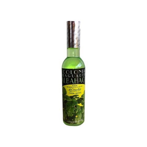 Colonia de Albahaca (Basil)