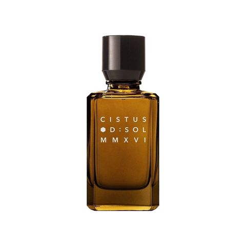 Cistus