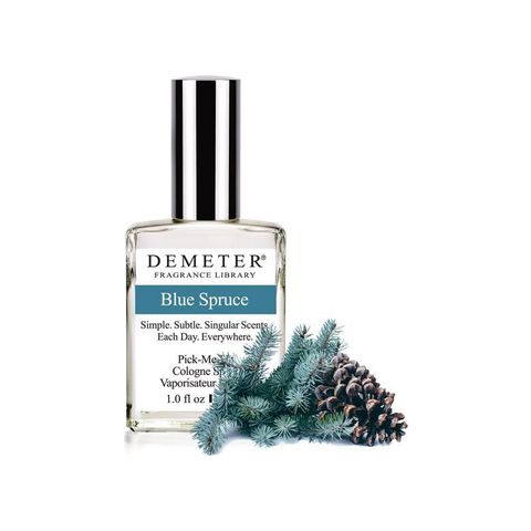 Blue Spruce