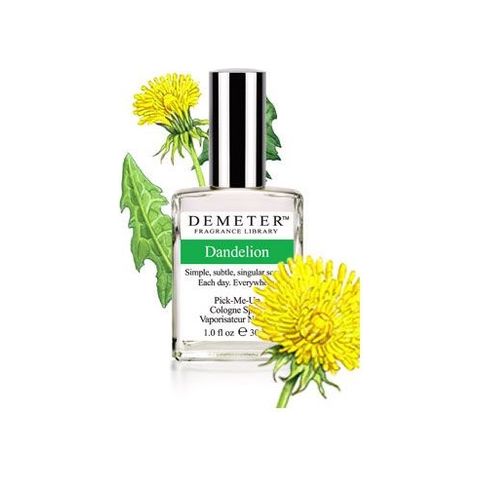 Dandelion