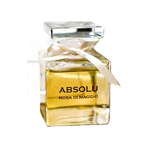 Absolu Rosa Di Maggio