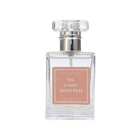 The Stuart White Rose