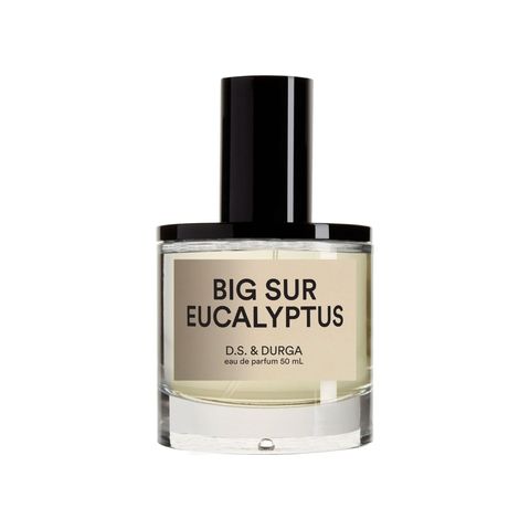 Big Sur Eucalyptus