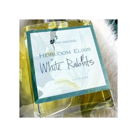 White Rabbits