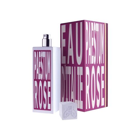 Paestum Rose