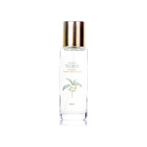 Graceful Sweet Osmanthus 优雅金桂