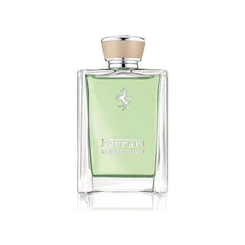 Radiant Bergamot