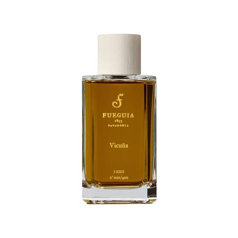 Vicuña