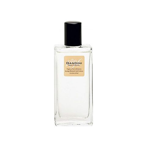 Orange Blossom and Leaf