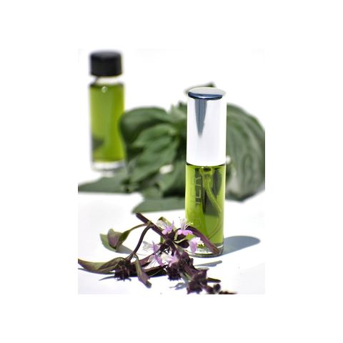 Basil