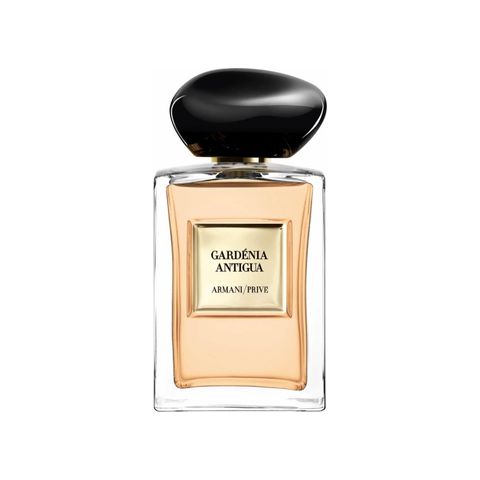 Gardénia Antigua
